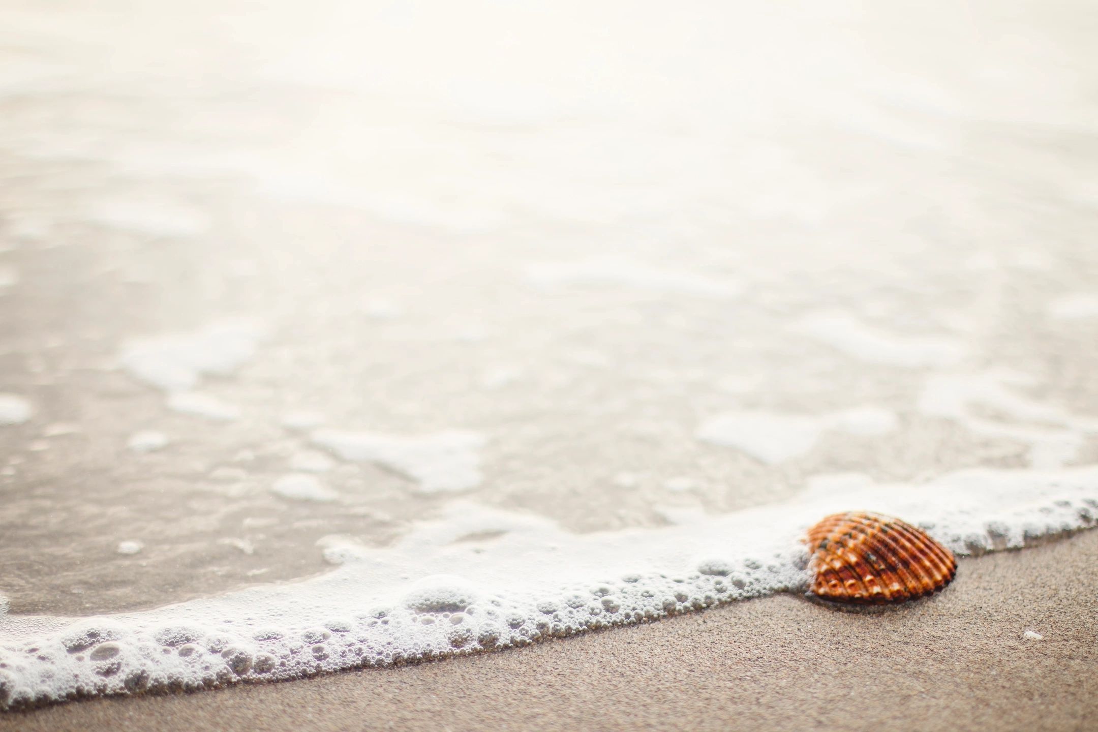 8 Stats That Show Why Content Marketing is the Most Important Marketing Strategy